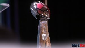 NFL trophy 2024-25